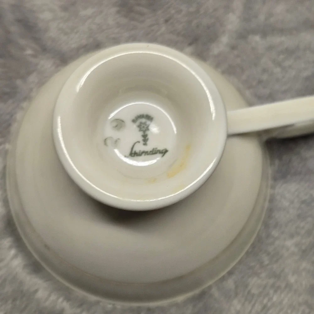 Schirnding Bavaria Porcelain Teacup Saucer Set Green Gold Floral Vintage Germany